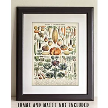 Vintage Botanical Antique Heirloom Vegetables Print 11x14