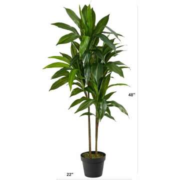 Real Touch Dracaena Plant - 4ft Artificial Greenery
