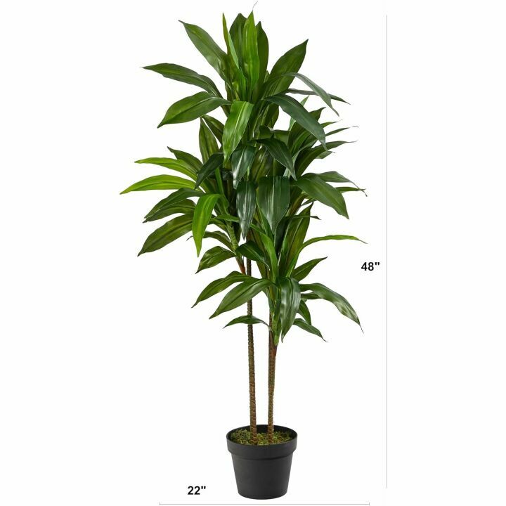 Real Touch Dracaena Plant - 4ft Artificial Greenery