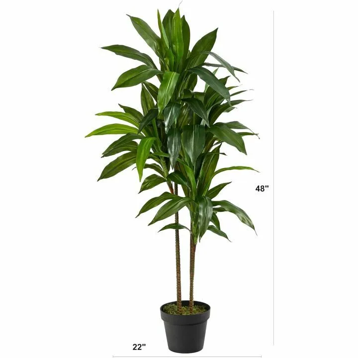 Real Touch Dracaena Plant - 4ft Artificial Greenery