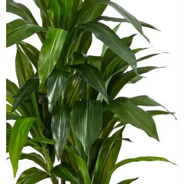 Real Touch Dracaena Plant - 4ft Artificial Greenery