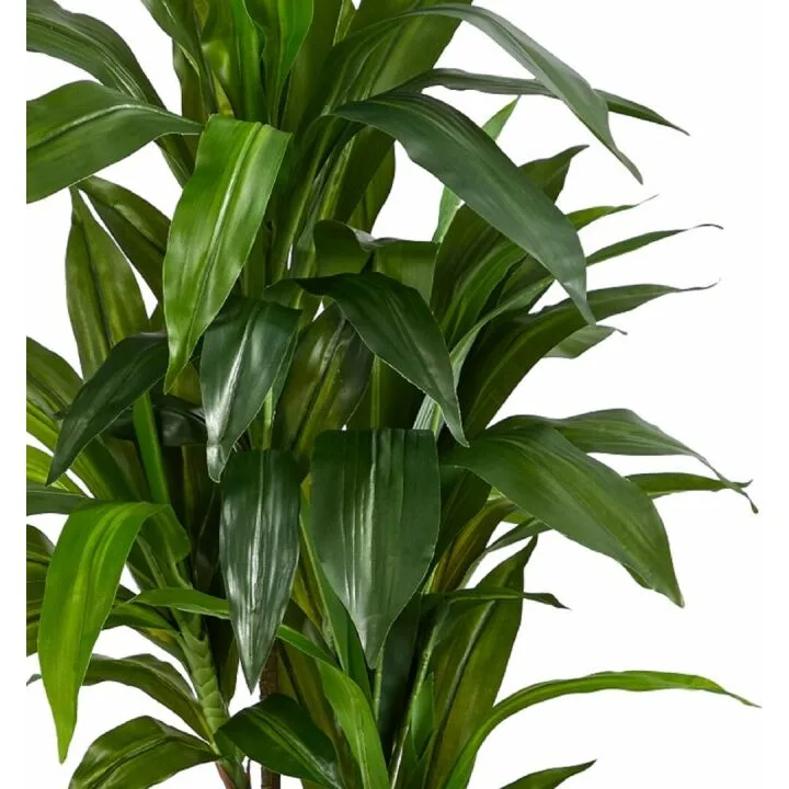 Real Touch Dracaena Plant - 4ft Artificial Greenery