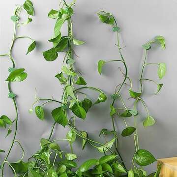 LUOTIVON 12PCS Plant Clips for Vines Climbing and Hanging Invisible Vines Wall Fixture Clips with 12 Pieces Adhesive Stickers for Plants Fixing for Indoor Outdoor Decorations