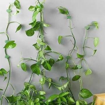 LUOTIVON 12PCS Plant Clips for Vines Climbing and Hanging Invisible Vines Wall Fixture Clips with 12 Pieces Adhesive Stickers for Plants Fixing for Indoor Outdoor Decorations