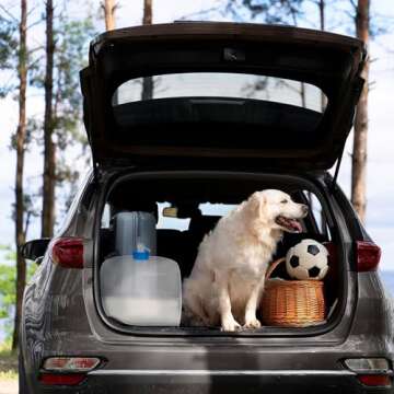 ITRAZ Collapsible Water Container with Spigot, 2×5.3 Gallon BPA Free Camping Water Storage Jug Carrier for Outdoors Hiking Backpack RV&Emergency, Survival Water Canteen-Portable Foldable Transparent