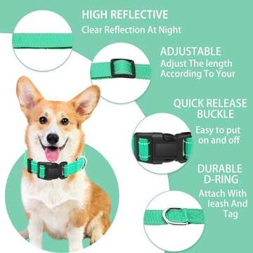 Maiiu Reflective Dog Collar & Leash - Adjustable Nylon for All Dogs
