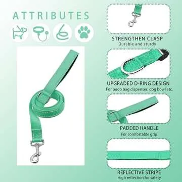 Maiiu Reflective Dog Collar & Leash for Safe Walks