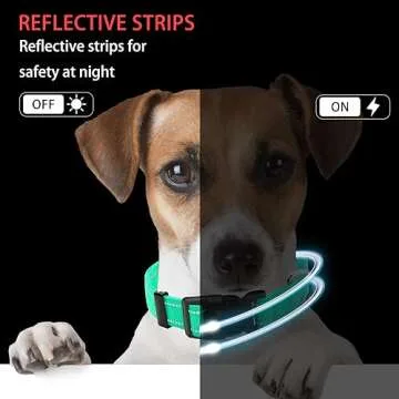 Maiiu Reflective Dog Collar & Leash for Safe Walks