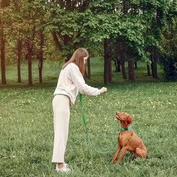 Maiiu Reflective Dog Collar & Leash for Safe Walks