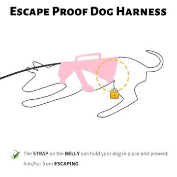 PAWORLD No Escape Dog Harness, Medium, Pink, Fully Reflective, Escape Proof, Adjustable, Breathable,...