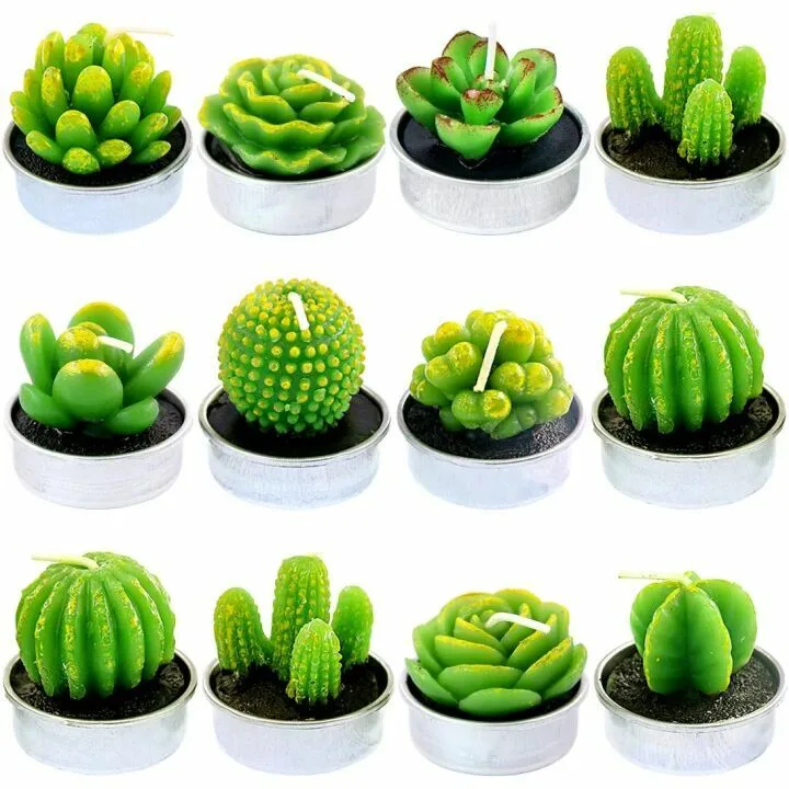 Swpeet 12Pcs Succulent Cactus Tealight Candles