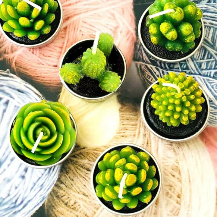 Swpeet 12Pcs Succulent Cactus Tealight Candles