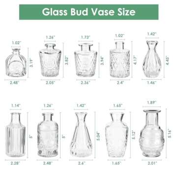 Stylish hanmir Glass Bud Vases - Set of 10 for Home Decor