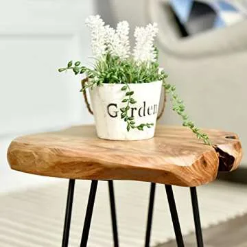 WELLAND Natural Edge Side Table with Hairpin Legs