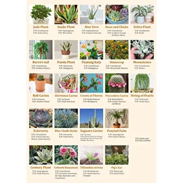 Vintage Succulent Puzzle for Adults 1000 Pieces