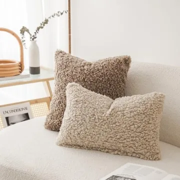 Foindtower Decorative Faux Fur Pillow Covers Set of 2