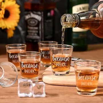 Funny Coworker Shot Glasses for Boss Day Gifts