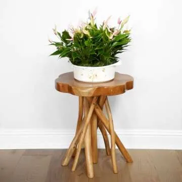 WELLAND Solid Teak Slab Live Edge End Table