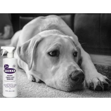 FOLEX Instant Carpet Spot Remover Kit with Reusable Cloth
