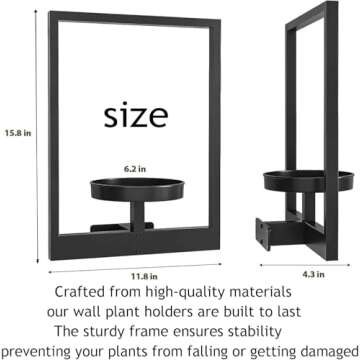 Buy Picture Frame Wall Plant Holder for Stylish Decor