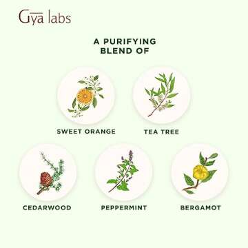 Gya Labs Purify Essential Oil Blend - Refreshing and Cleansing Scent