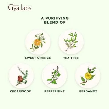 Gya Labs Purify Essential Oil Blend - Refreshing and Cleansing Scent