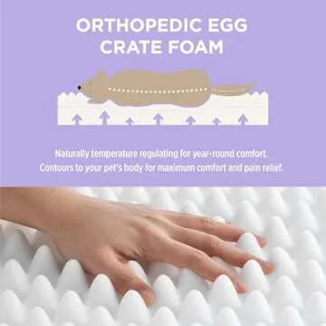 Lesure Human Dog Bed for Adult - Calming Human Size Dog Bed with Egg Foam Supportive Mat and Storage Pocket, Cute Modern Pet Beds with Jacquard Shaggy Plush & Anti Slip Bottom 68x44x12, Purple