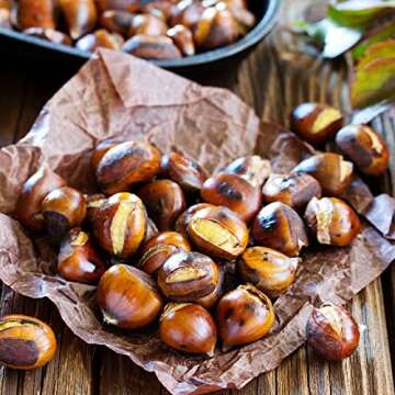 Fresh, Raw, Premium Quality Italian Chestnuts | Tender, Easy Peel, Large, Aromatic, Delicious Chestnuts | Raw Fresh Italian Chestnuts (3 LBS)