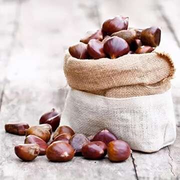 Fresh, Raw, Premium Quality Italian Chestnuts | Tender, Easy Peel, Large, Aromatic, Delicious Chestnuts | Raw Fresh Italian Chestnuts (3 LBS)