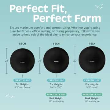 Retrospec Luna Exercise Ball for Workouts and Pregnancy