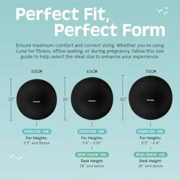 Retrospec Luna Exercise Ball for Workouts and Pregnancy