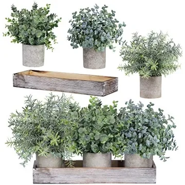 Set of 3 Mini Potted Artificial Eucalyptus Plants Faux Rosemary Plant Assortment with Wood Planter Box for Indoor Office Desk Apartment Wedding Tabletop Greenery Decorations 8.7" Tall