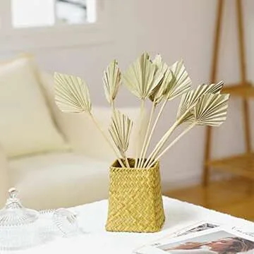 Boho Dried Palm Spears Small Natural Dried Palm Fans Dried Palm Leaves Dried Palm Leaf Palm Fan Leaf with Stem Dried Leaf Decor for Vase Wedding Party Office Home Wall Decor (Natural Color,10 Pieces)
