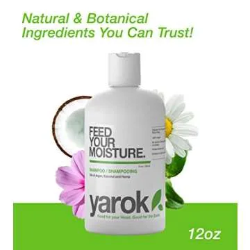 Yarok - Feed Your Moisture Shampoo - Hydrate, Detoxify & Restore - Nourishing & Moisturizing Cleanse - With Organic Argan & Coconut Oil - 100% Vegan - Gluten, Sulfate, Paraben & Cruelty Free - 12oz