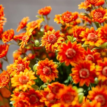 10 Bundles Artificial Mums - Vibrant, UV Resistant Faux Flowers for Outdoor Spaces