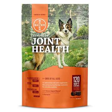 Synovi G4 Dog Joint Supplement Chews for All Breeds