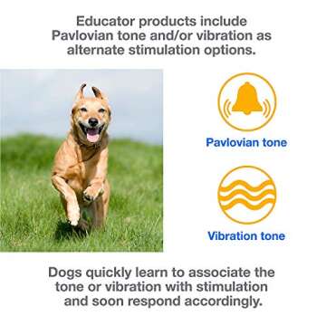 Educator EZ Dog Training Collar for Effective Obedience