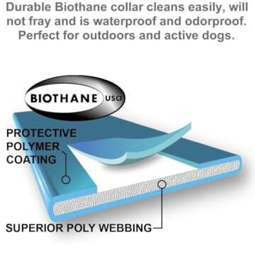 Educator EZ Dog Training Collar for Effective Obedience