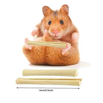 Natural Phuumy Chew Toys for Small Pets | Healthy Treats