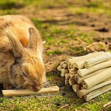 Natural Phuumy Chew Toys for Small Pets | Healthy Treats