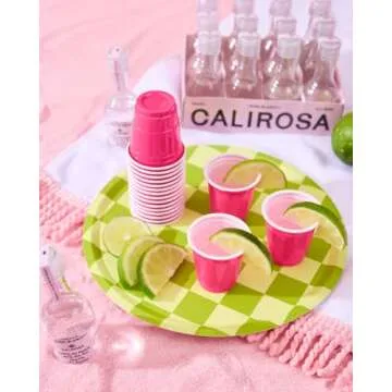 xo, Fetti Pink + Green Checkered Paper Plates - 24 pk, 9" | Bachelorette Fiesta Decorations, Cute Birthday Party Tablescape, Retro Summer Tableware Supplies, Cinco de Mayo Place Setting, 21st Bday