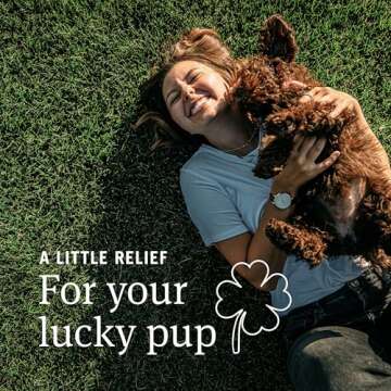 PetArmor Aspirin for Small Dogs, Fast Acting Anti-Inflammatory and Pain Relief For Dogs, Vet-Quality Joint Support and Pain Meds for Dogs, 75 Liver Flavored Tablets