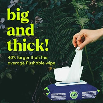 Goodwipes Flushable Wipes with Vitamin E & Aloe