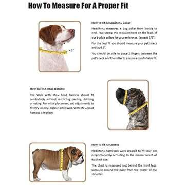 Hamilton Adjustable Comfort Nylon Dog Harness for Dogs | Teal, 5/8" x 12-20"