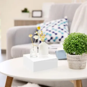 Leinuosen Buffet Risers Set 6-12" Acrylic Display Boxes