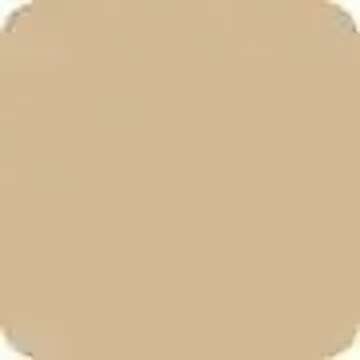 NARS Natural Radiant Longwear Foundation - Punjab by NARS for Women - 1 oz Foundation