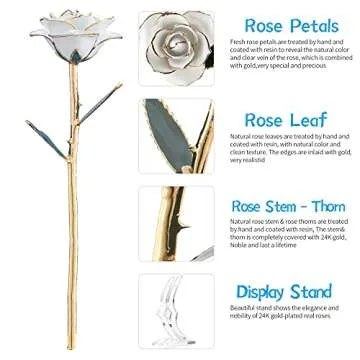 Forever Rose 24k Gold Dipped Gift for Her - Lasts Forever