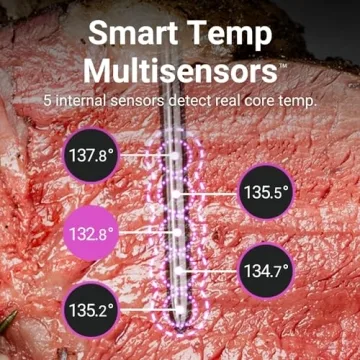 MEATER Pro Wireless Meat Thermometer with App & Recipes