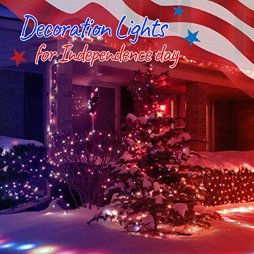 Patriotic Mini Lights for Independence Day & More