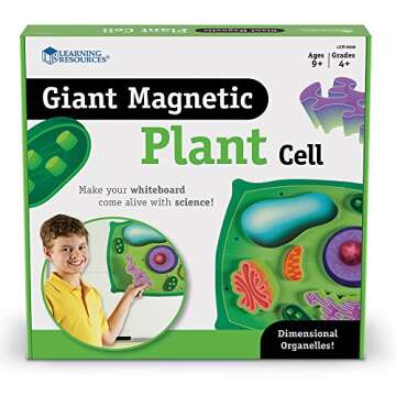 Learning Resources Giant Magnetic Plant Cell